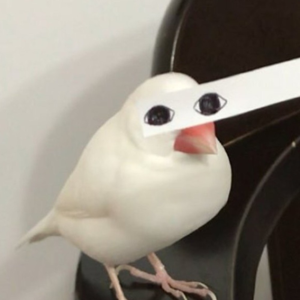 Meet your Posher, Grace